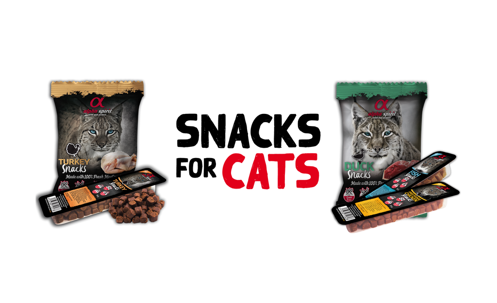 GATO SNACK