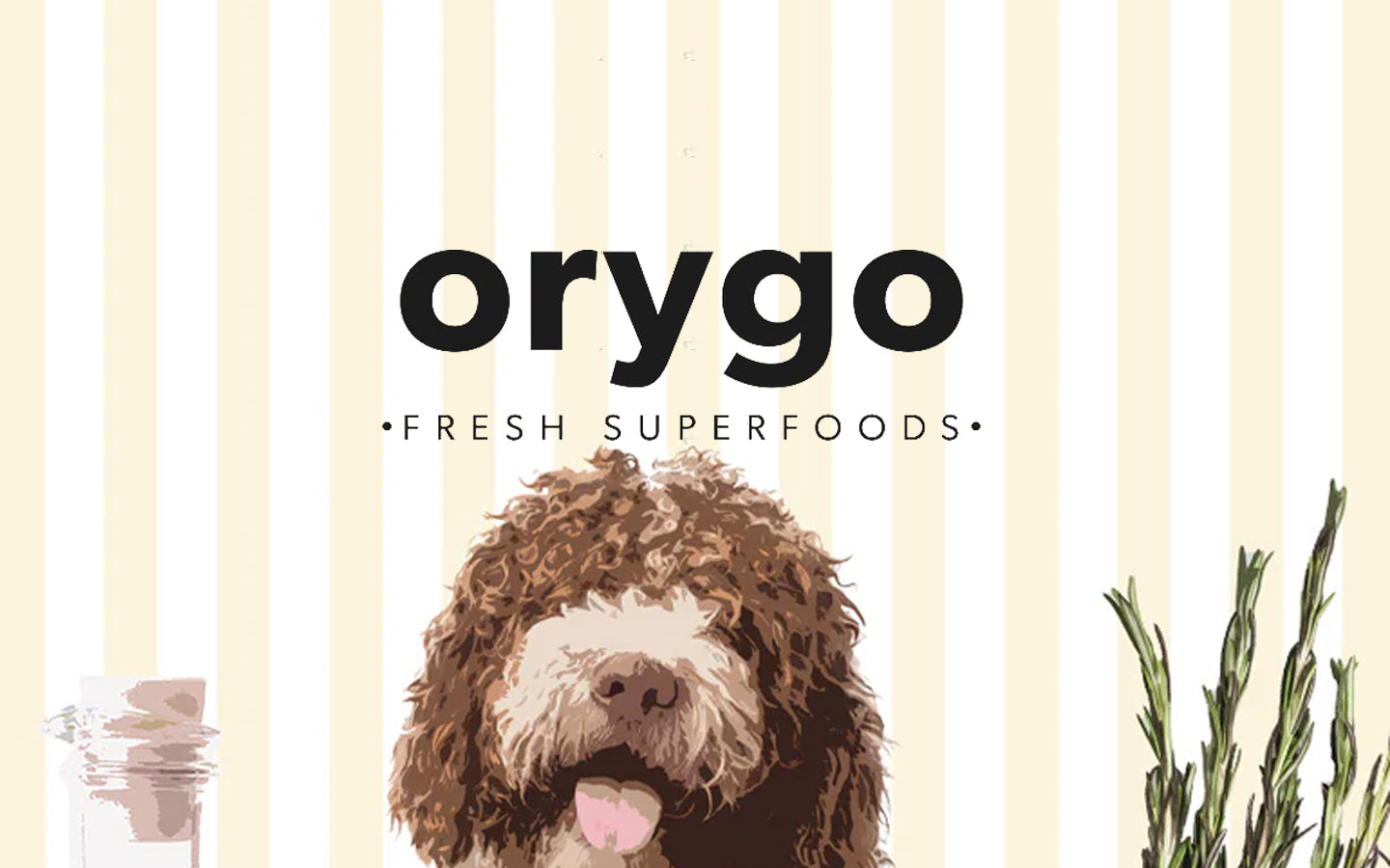 dr-orygo