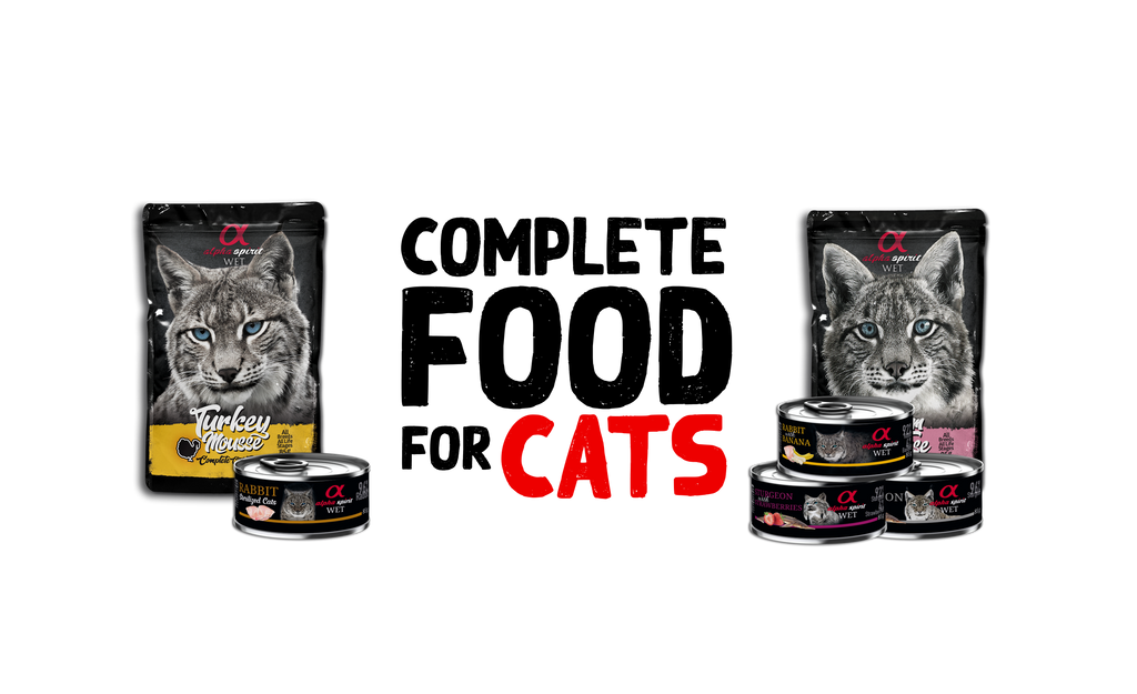 ALIMENTACIÓN GATO