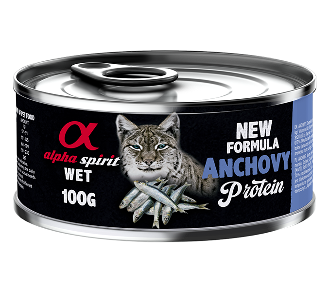 Paté de Boquerón para Gatos
