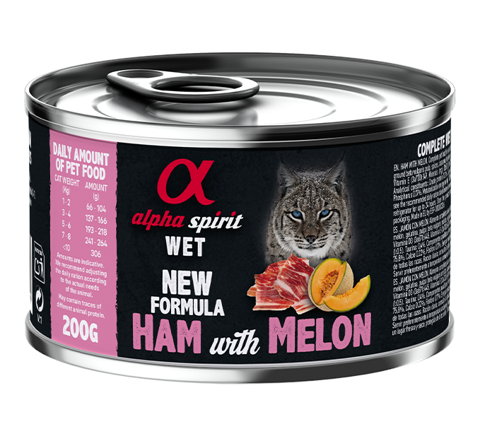 Paté de Jamón con Melón para Gatos