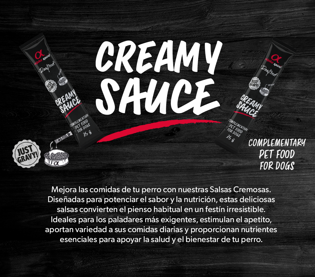 BANNER_CREAMY_SAUCE_fadd7f9d-0abc-4a1e-b0d7-59b628c6f347.png