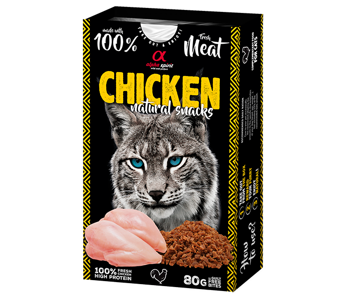 CHICKEN_GATO_GATO.png