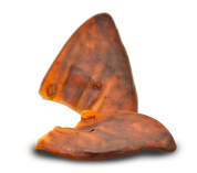 OREJA DE CERDO (Bolsa 30 unds)