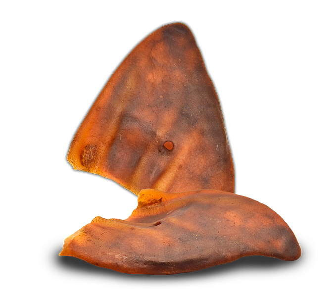 OREJA DE CERDO (Bolsa 30 unds)