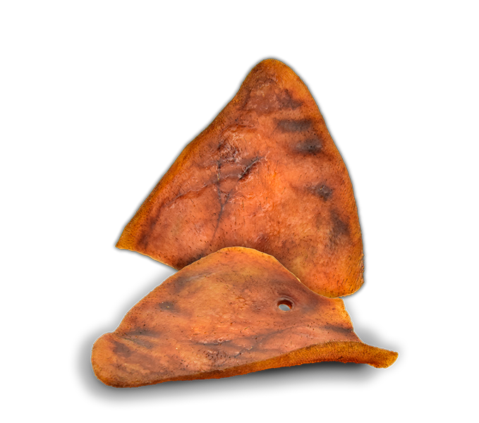 OREJA DE CERDO