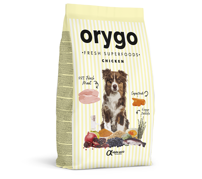 ORYGO - ALIMENTO POLLO CON ZANAHORIA