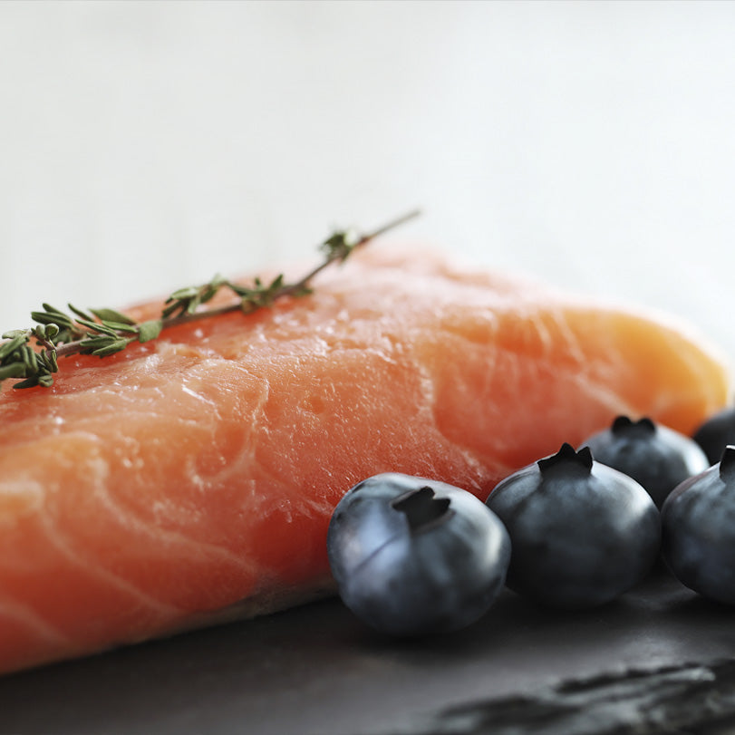 Orygo - Salmon Paté with Blueberries for Dogs