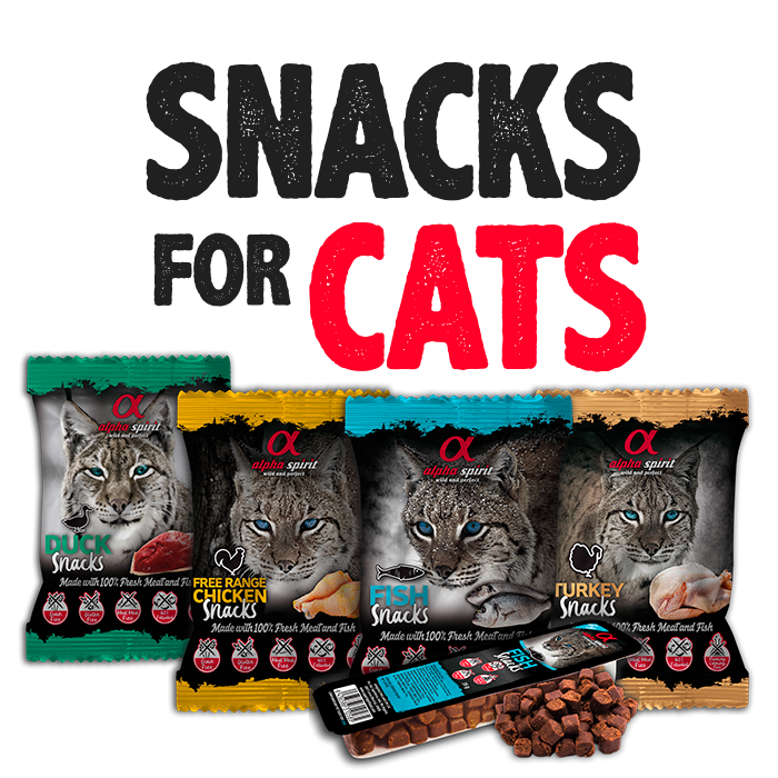 alpha_-_SNACKS_GATO_b22d7c3e-5216-4b7f-889a-61c9df9534e1.png