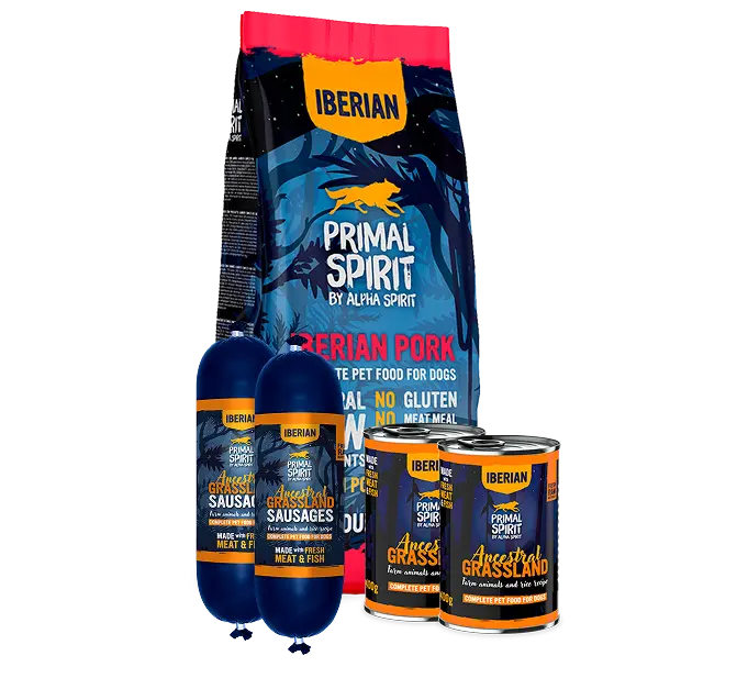 dr-primal-perros-humedo