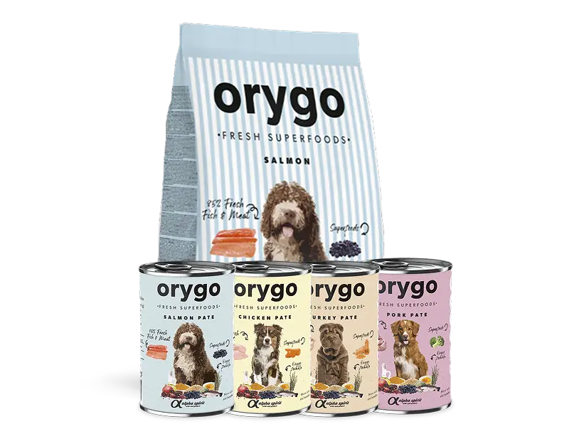 Pack Orygo Salmón 8kg + Degustación