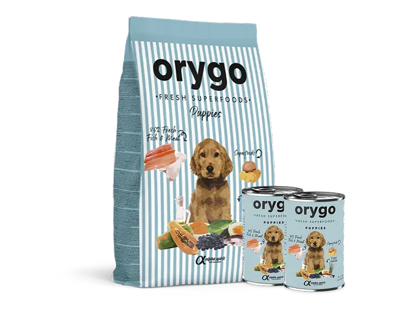 Pack Orygo Puppies Grande